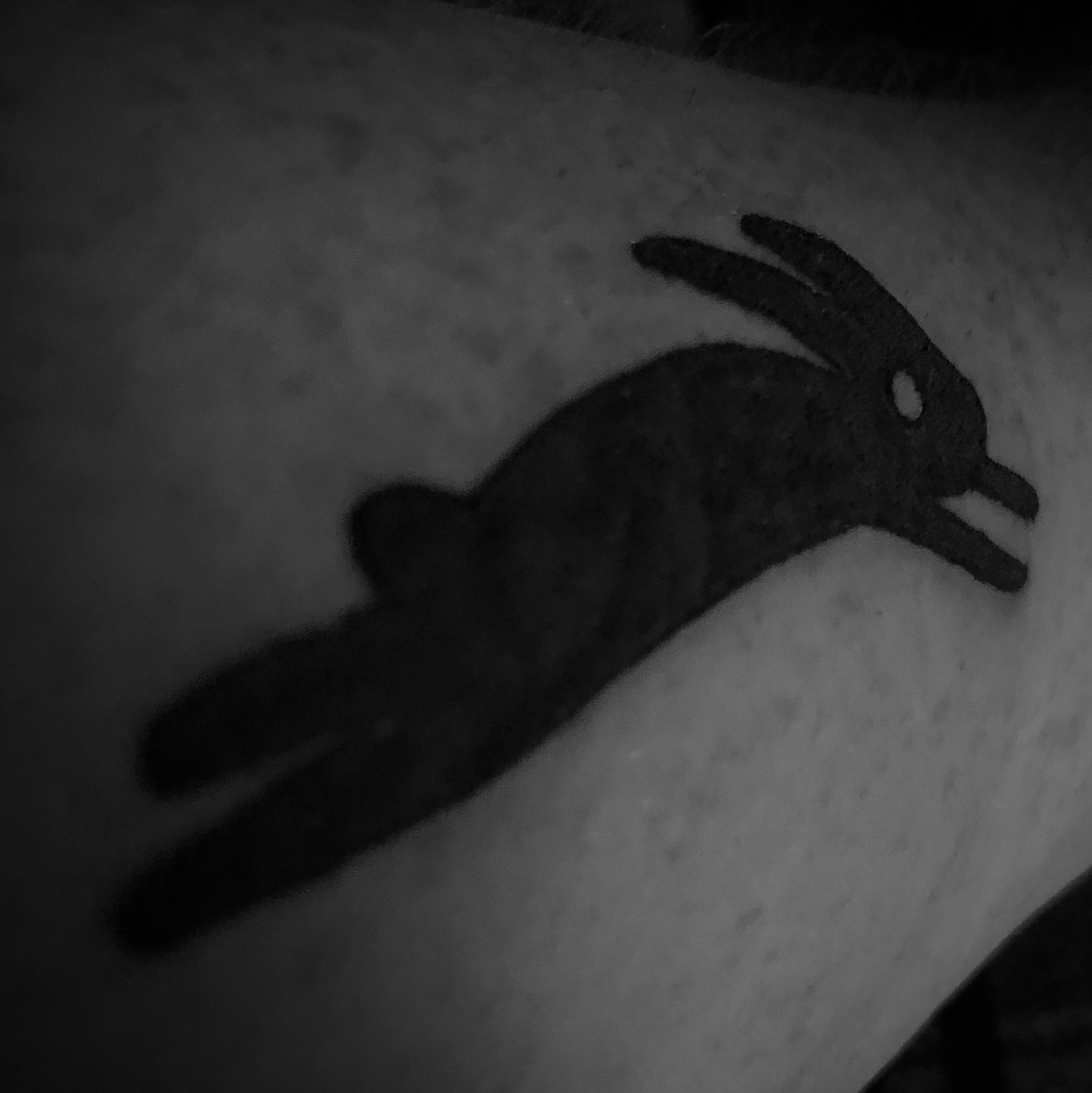 Black hare tattoo (on forearem)
